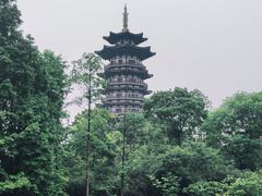 -洋湖国家湿地公园