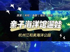 -江和美海洋公园