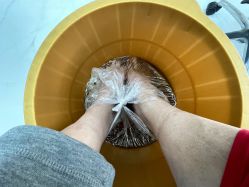 -派恩宜灰指甲鸡眼嵌甲手足癣