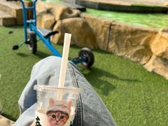 -百分茶(昆山万象汇店)