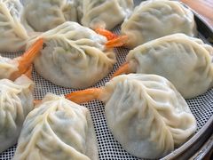 -小叶大馅饺子城