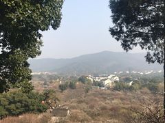 -香雪海