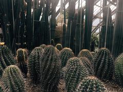 -南山植物园