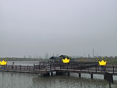 -天津东丽湖风景区