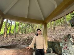 -平湖九龙山旅游度假区