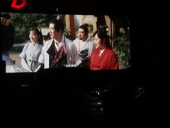 -枫花园汽车电影院(朝阳公园店)