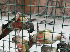 -西安秦岭野生动物园