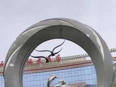 -日照世帆赛基地