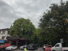 -郫都区农科村景区