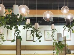 -柴务处·柴犬主题狗咖