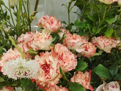 -Flower in(密渡桥店)