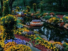 -上海共青森林公园