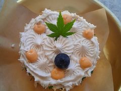 -野草莓自由市场