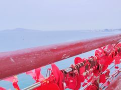 -幸福门