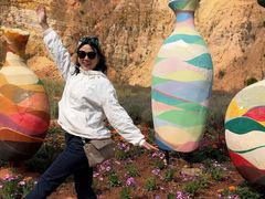 -彩色沙林风景区