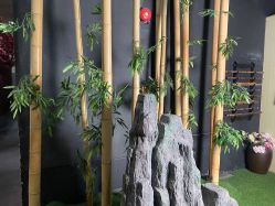 -盘子女人坊生日照·摄影馆(华强店)