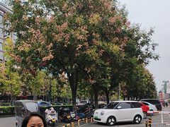 -一记洛阳菜·糖醋小排·水席(十字街店)