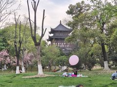 -堤角公园