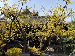 -胡氏古民居建筑