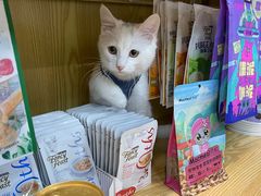 -中农大我爱我爱动物医院·核磁CT·猫病·24小时夜诊中心(石佛营店)