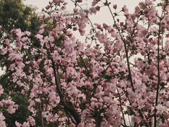 -幕燕滨江·燕子矶公园