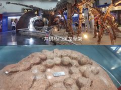 -国家自然博物馆