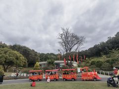 -云溪植物园