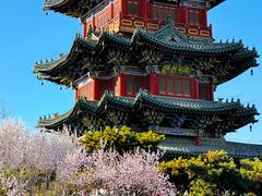 -迎泽公园