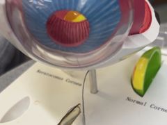 -武汉大学附属爱尔眼科医院(湖北总院)