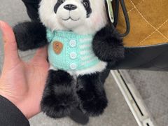 -雍容荟活波龙自助餐(IFS黑金店)