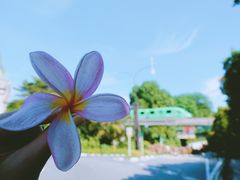 -巴拉湾海滩