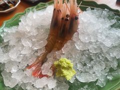 -月龍吟(朝龙汇店)