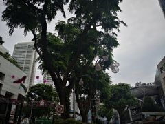 -爱雍·乌节