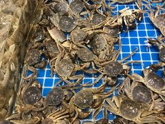 -半岛听涛蒸汽海鲜自助(K11店)