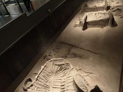 -北京大葆台遗址博物馆