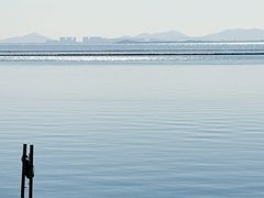 -贡湖湾湿地公园