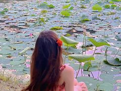 -艾溪湖湿地公园