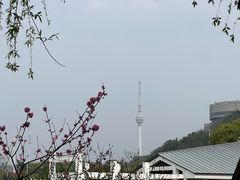 -月湖风景区