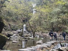 -石台牯牛降景区
