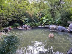 -昆明柏联SPA温泉