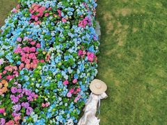 -武汉园博园(武汉自然博物馆)