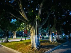-厦门大学(思明校区)