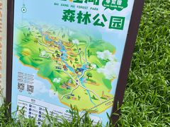 -广州白江湖森林公园