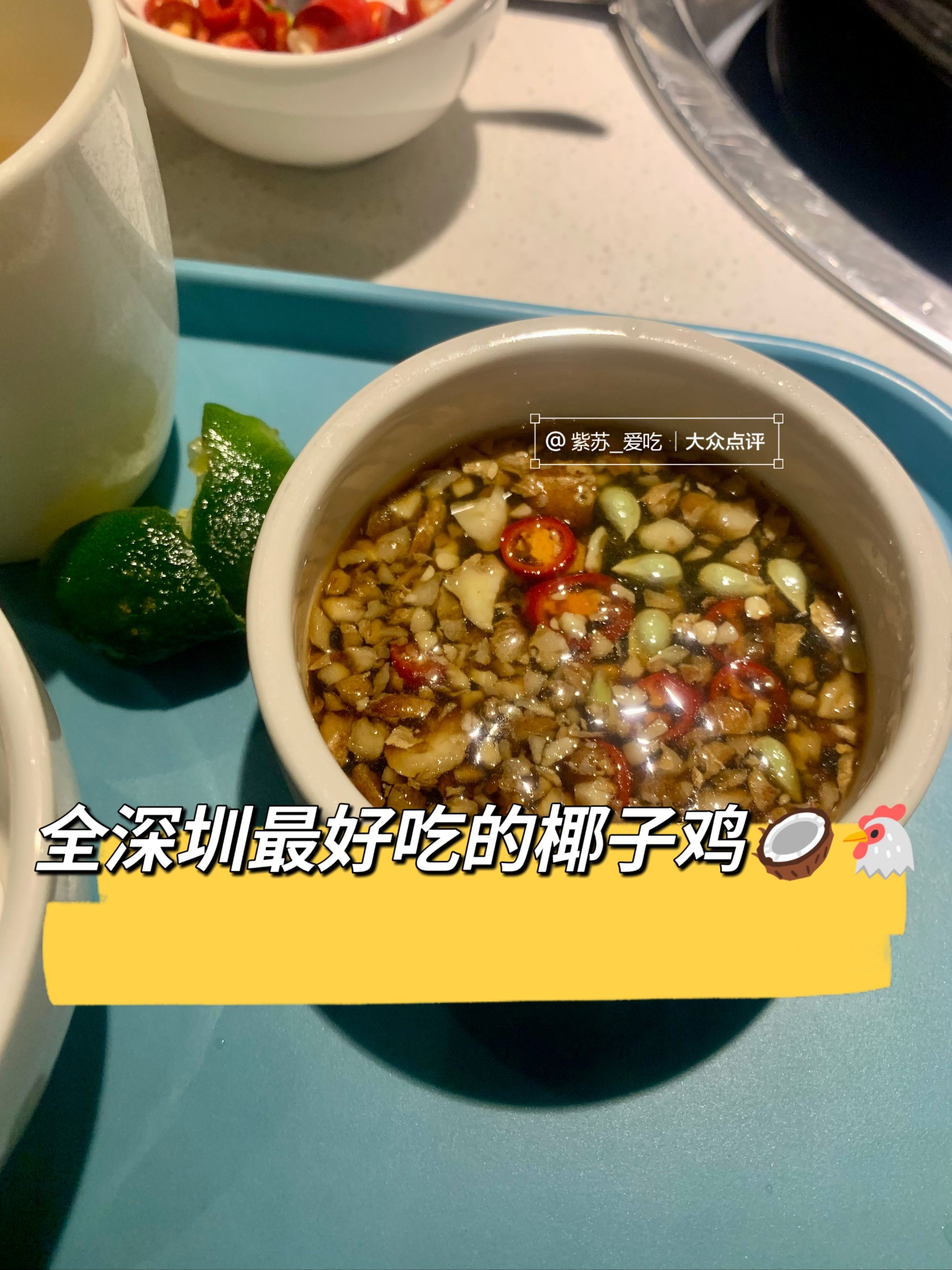 果林椰子鸡图片