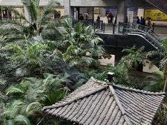 -黑龙江中医药大学附属第一医院