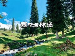 -御道口草原森林风景区