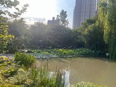 -四川大学(华西校区)