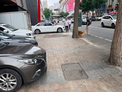 -大连美术馆