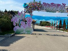 -威海华夏城景区