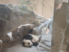 -宁波野生动物园
